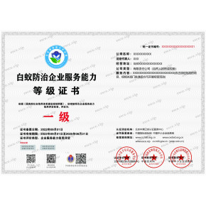 企業(yè)技術(shù)咨詢服務(wù) 打造核心競爭力與可持續(xù)發(fā)展之路